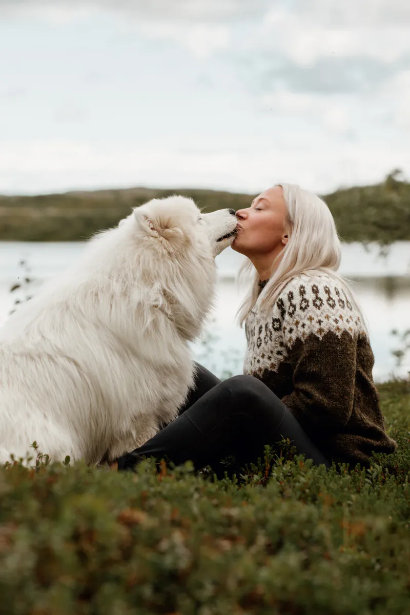 Čoarvegiella Vår - Digital oppskrift