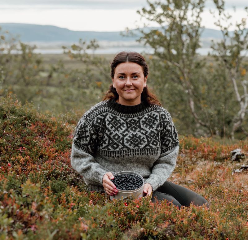 Árbi genser - garnpakke